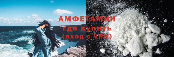 ГАЛЛЮЦИНОГЕННЫЕ ГРИБЫ Строитель